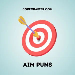 Aim Puns
