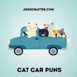 Cat Car Puns