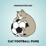 Cat Football Puns