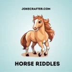 Horse Riddles