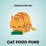Cat food puns
