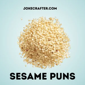 Sesame Puns