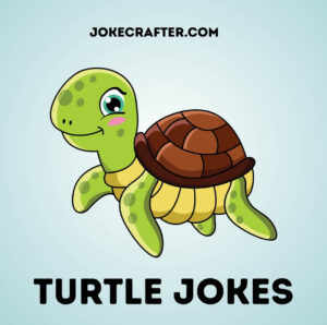 Turtle Jokes