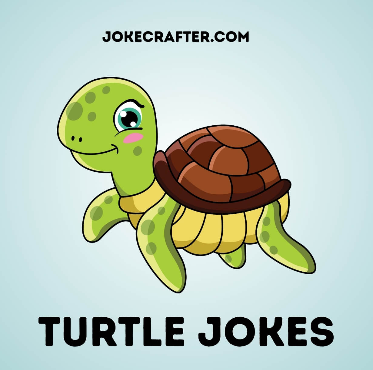 Turtle Jokes
