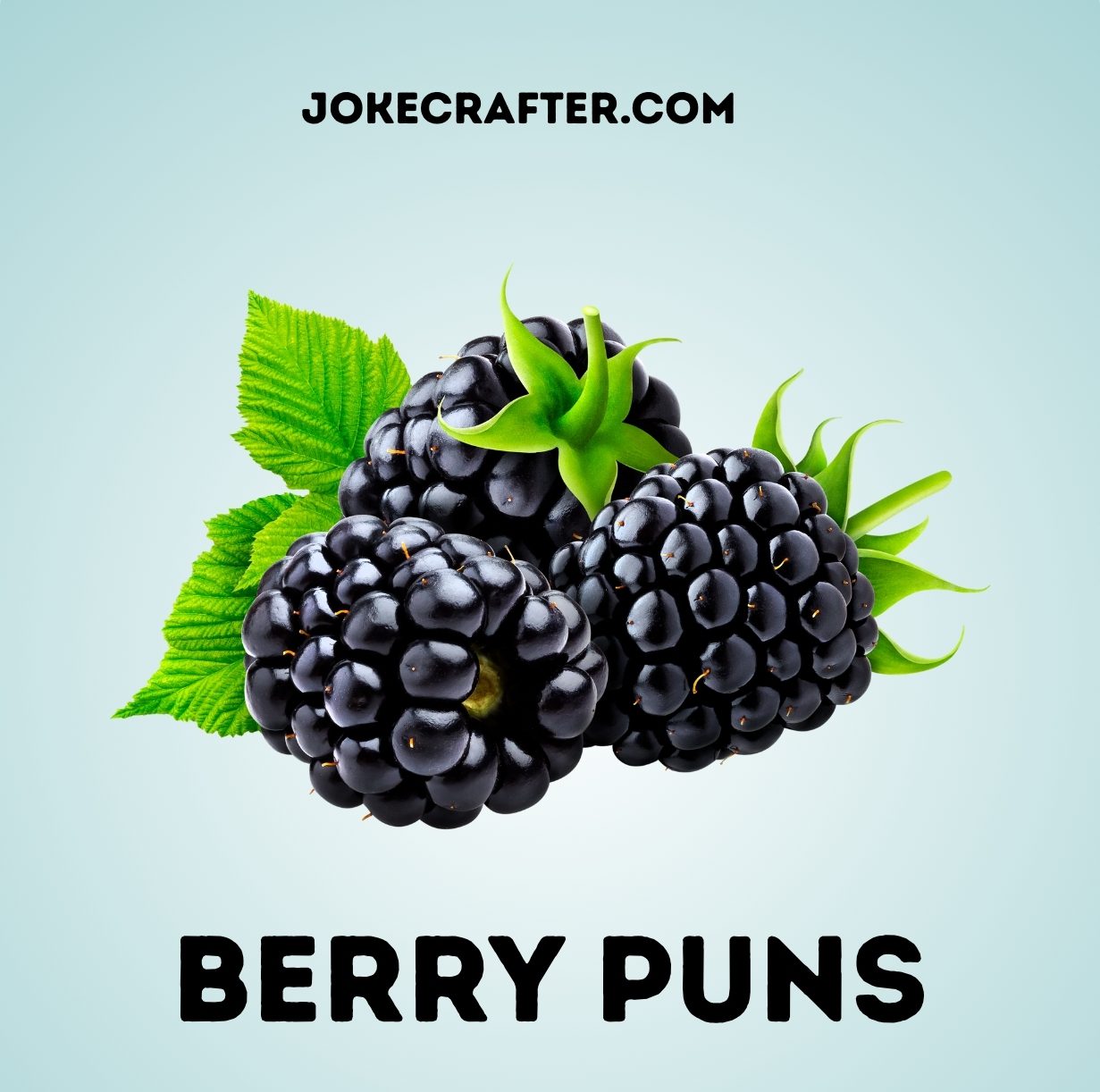 berry puns