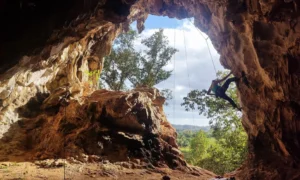 things to do near me