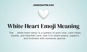 White Heart Emoji Meaning