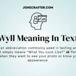 Wyll Meaning In Text